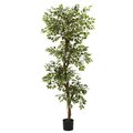Nearly Natural 6 and rsquo; Variegated Ficus Tree 5345